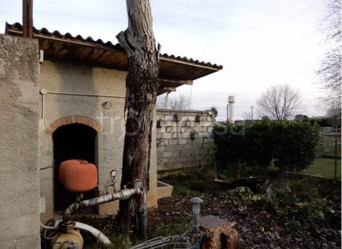 immagine annuncio 3 di 8