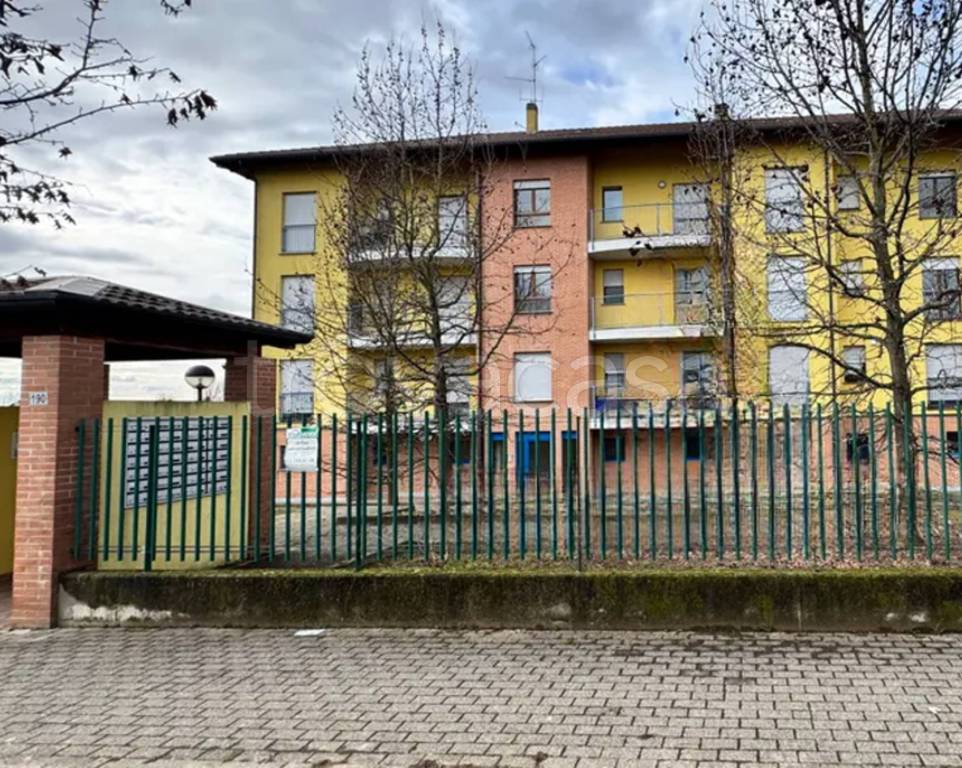 immagine annuncio 11 di 14
