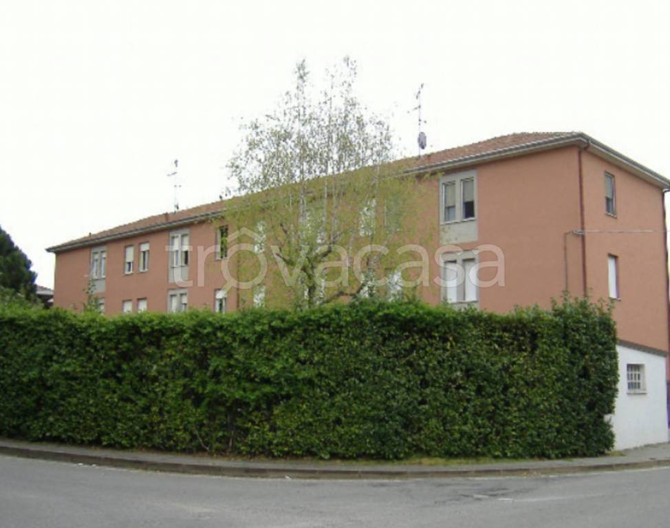 immagine annuncio 6 di 11