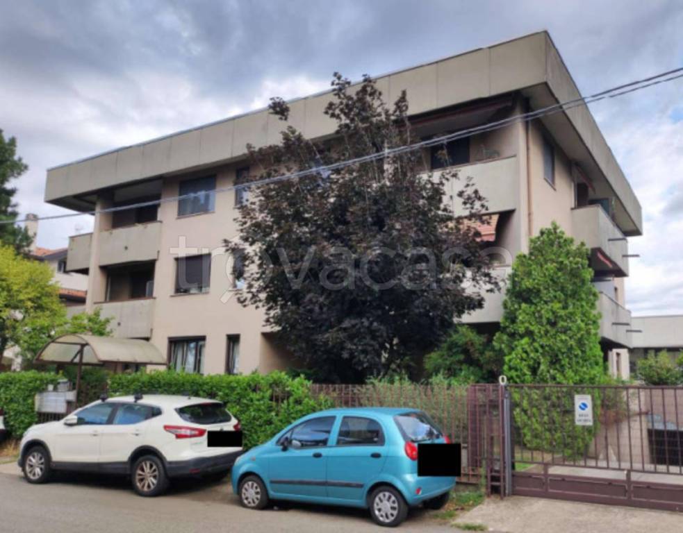 immagine annuncio 3 di 12