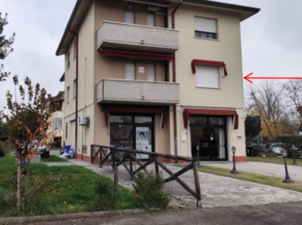 immagine annuncio 3 di 12