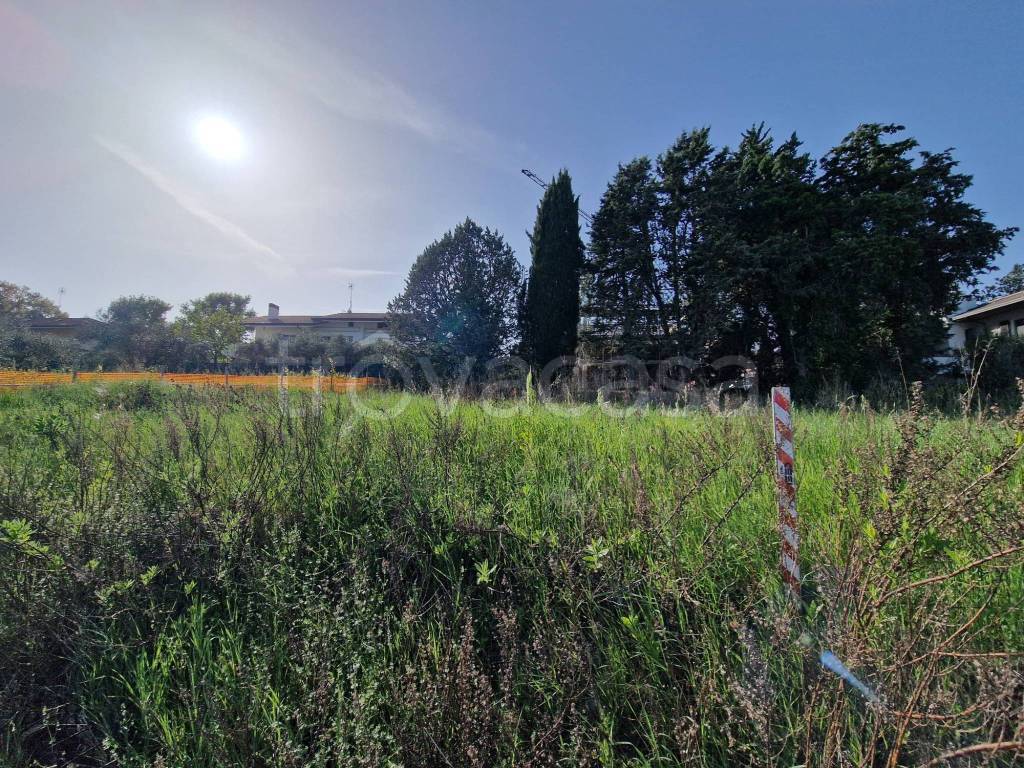 immagine annuncio 6 di 12