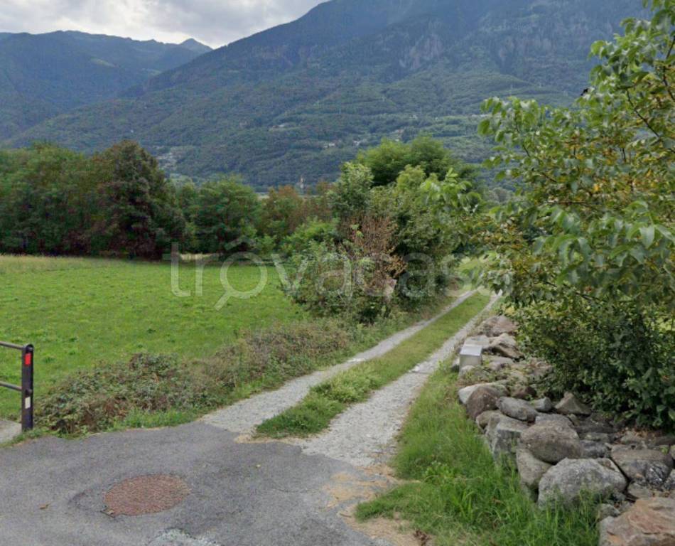 immagine annuncio 3 di 11