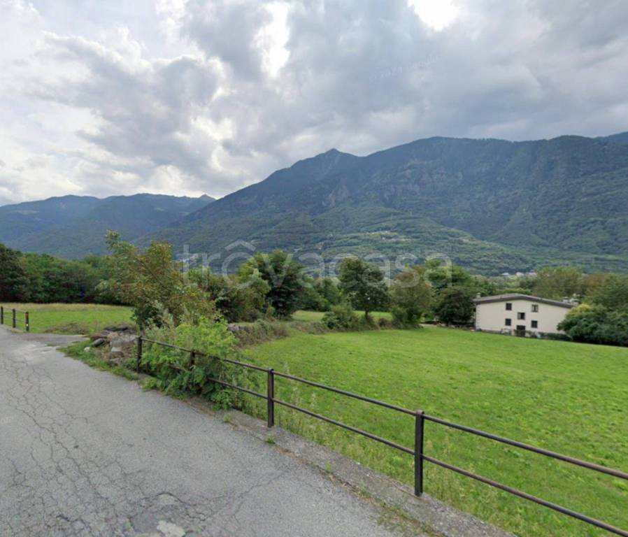 immagine annuncio 5 di 11