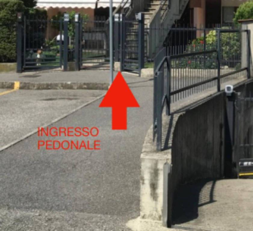 immagine annuncio 4 di 11