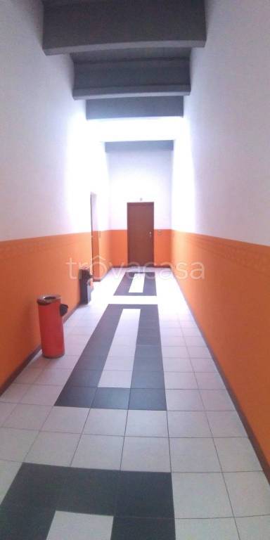 immagine annuncio 6 di 12