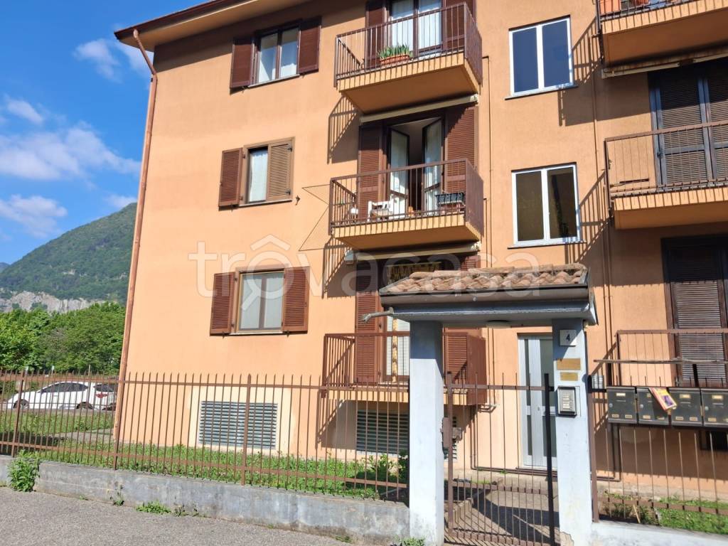 immagine annuncio 2 di 15