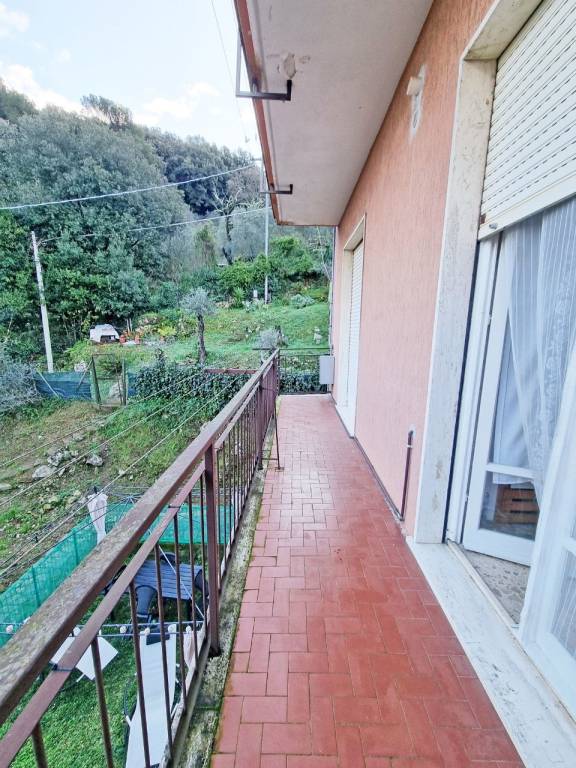 immagine annuncio 5 di 14