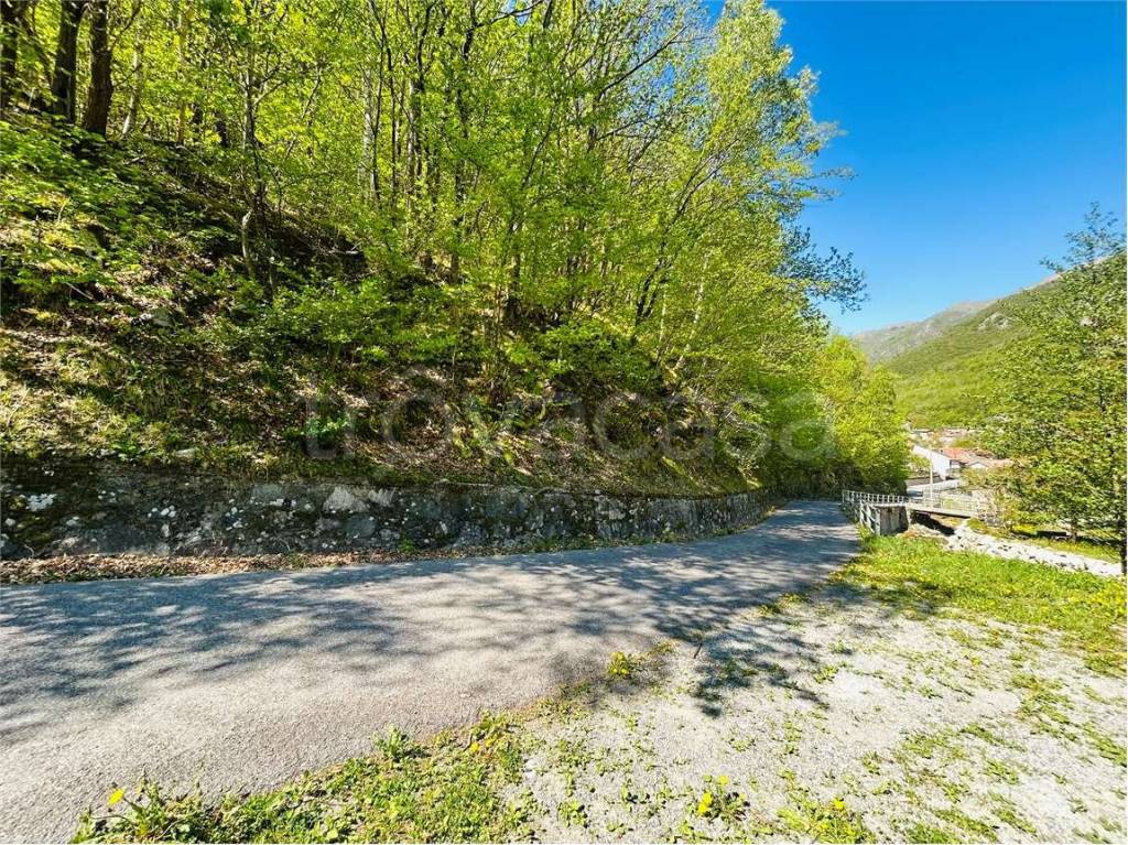 terreno agricolo in vendita ad Ormea