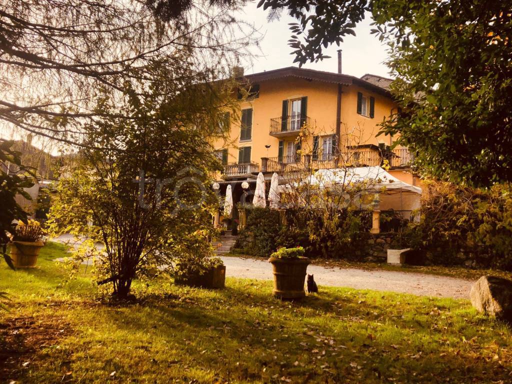 immagine annuncio 8 di 12