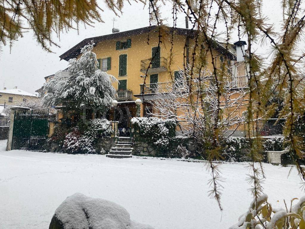 immagine annuncio 9 di 12
