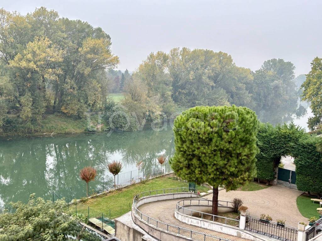 immagine annuncio 11 di 14