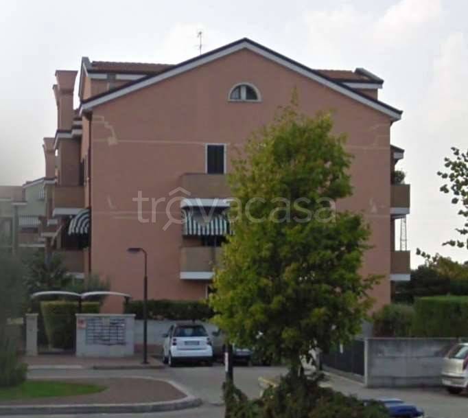 immagine annuncio 10 di 15