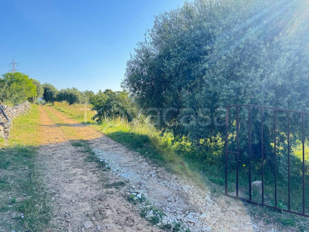 immagine annuncio 12 di 13