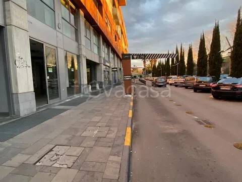 immagine annuncio 3 di 12
