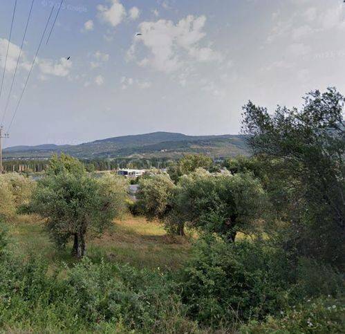 immagine annuncio 1 di 4