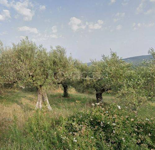 immagine annuncio 2 di 4