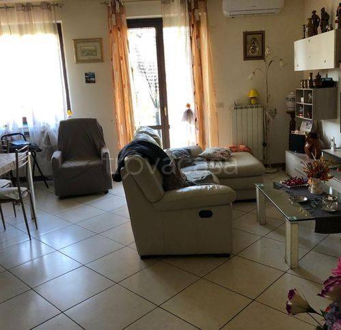immagine annuncio 6 di 13