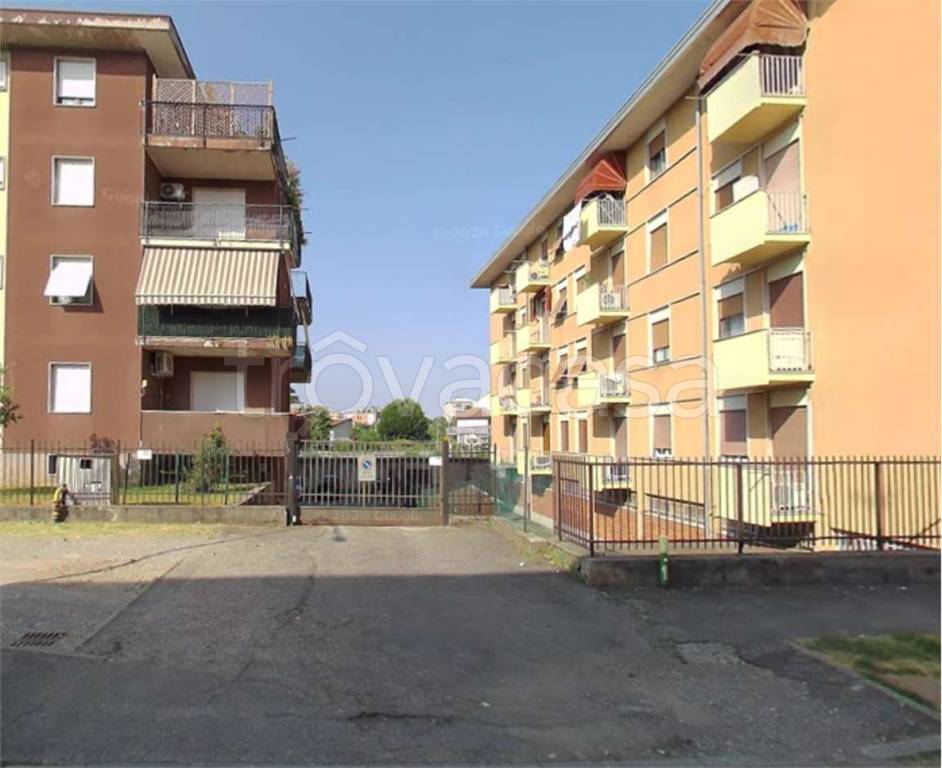 immagine annuncio 6 di 15