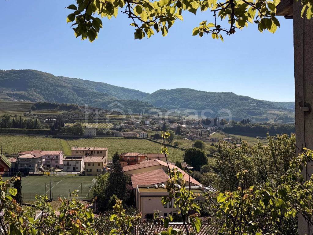 immagine annuncio 10 di 12