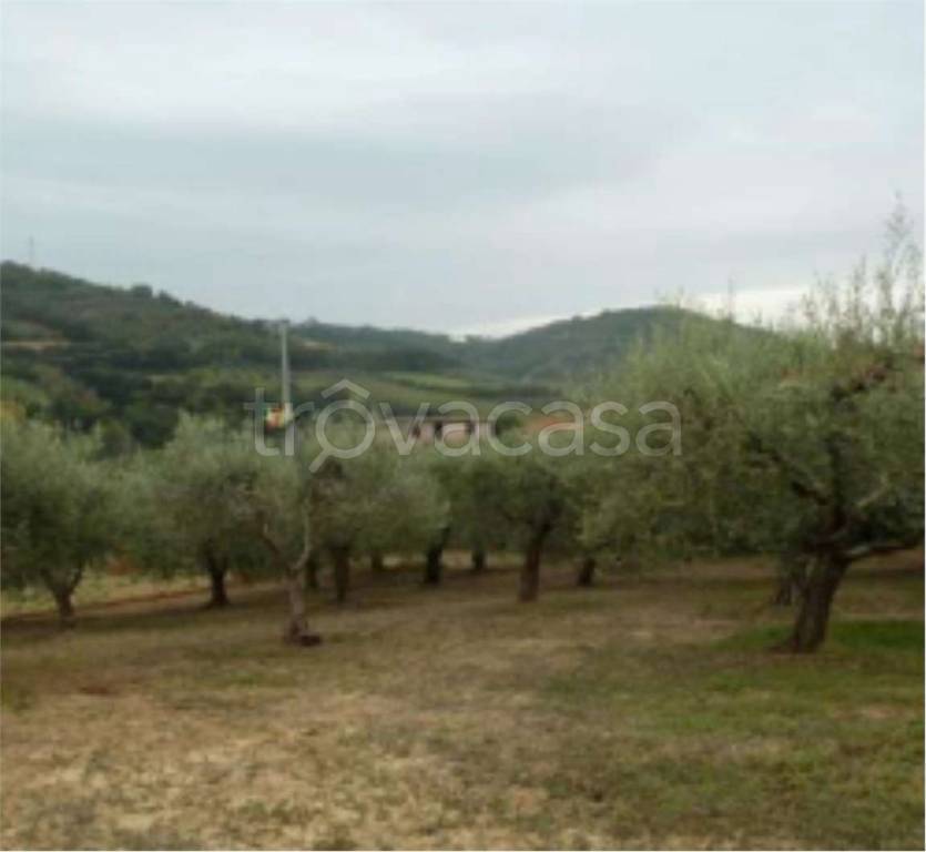 immagine annuncio 10 di 14