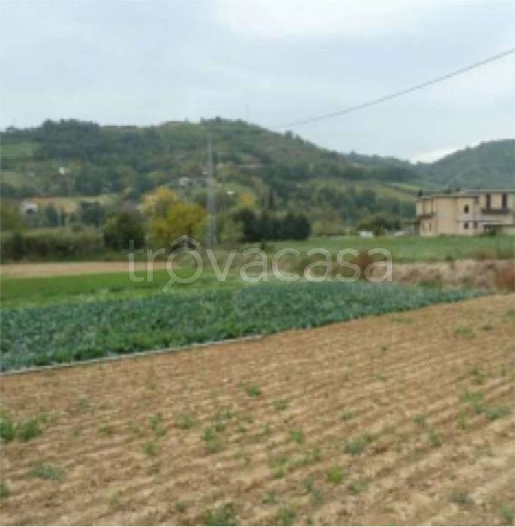 immagine annuncio 11 di 14