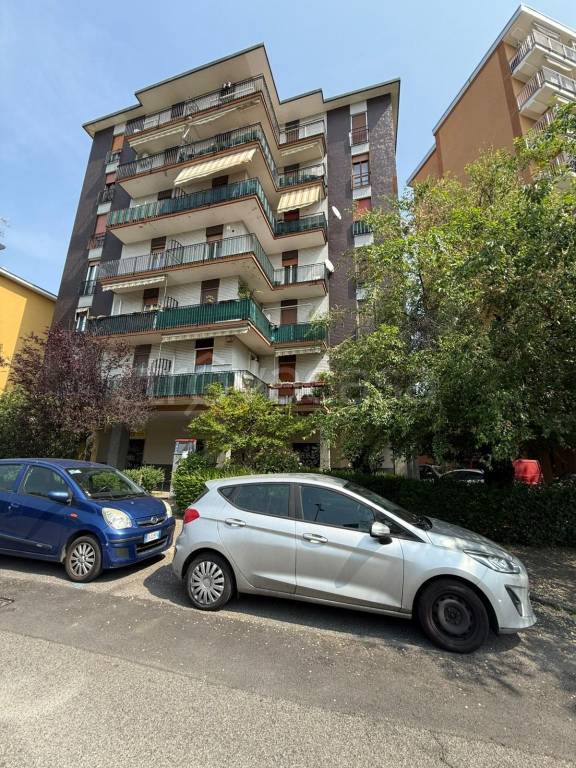 immagine annuncio 9 di 12