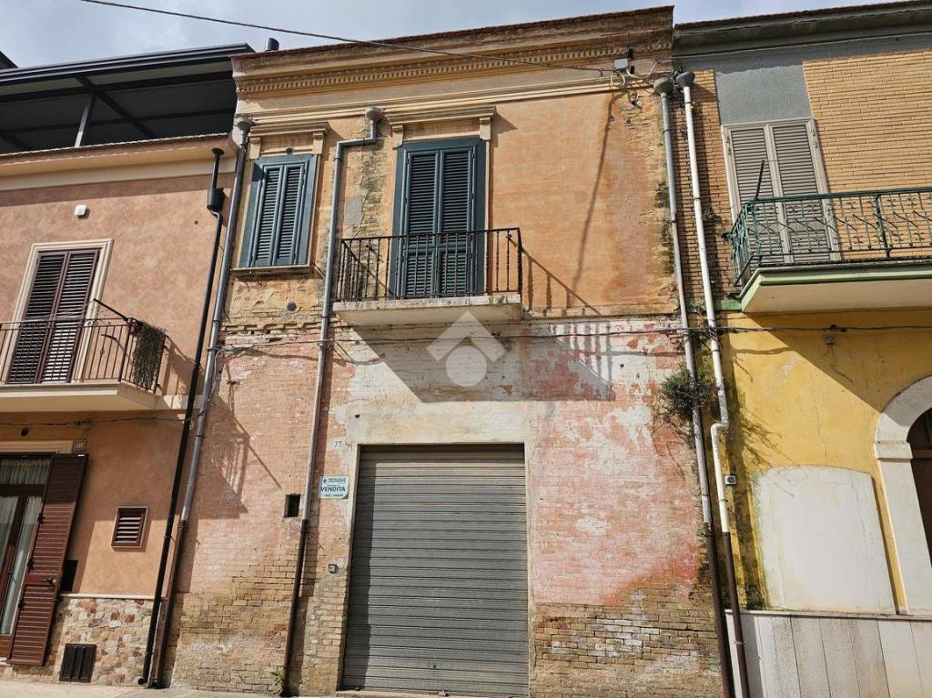 immagine annuncio 2 di 12