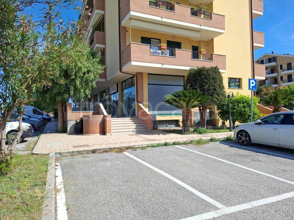 immagine annuncio 13 di 14