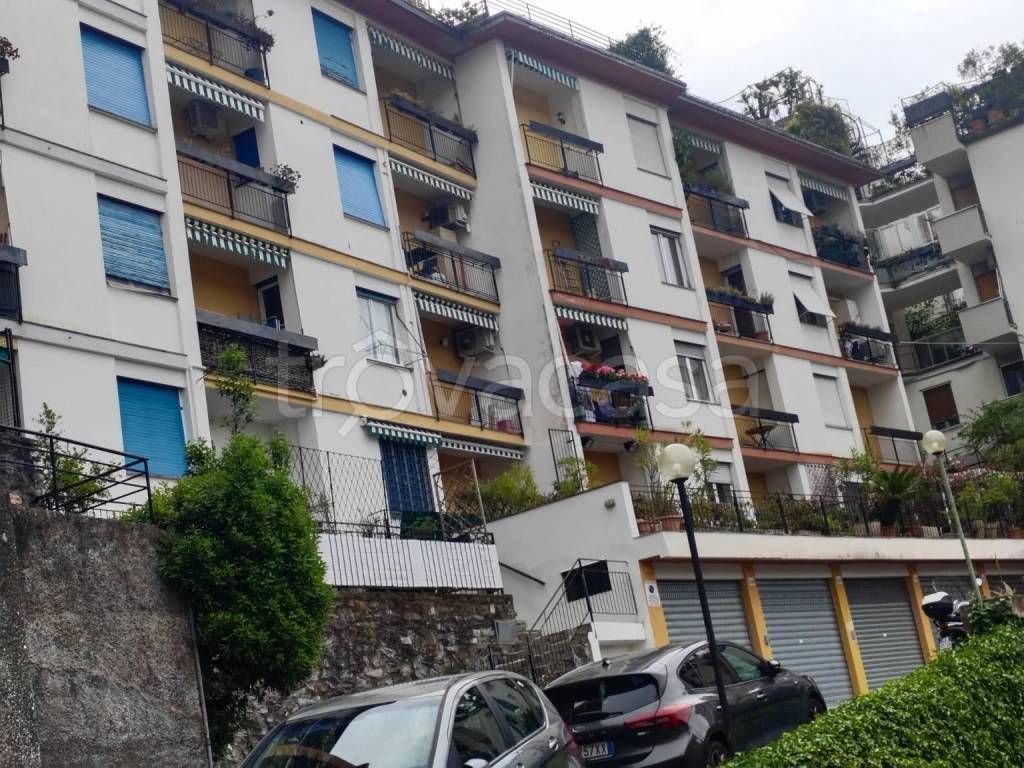 immagine annuncio 10 di 13
