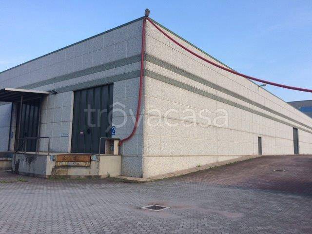 immagine annuncio 3 di 9
