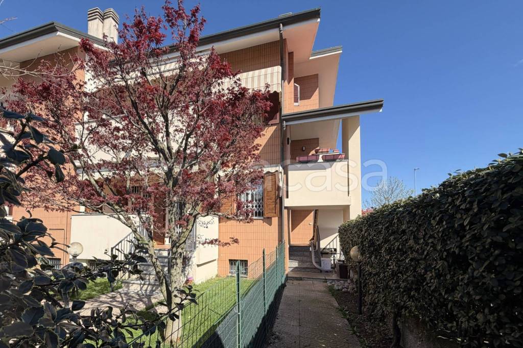 immagine annuncio 1 di 15
