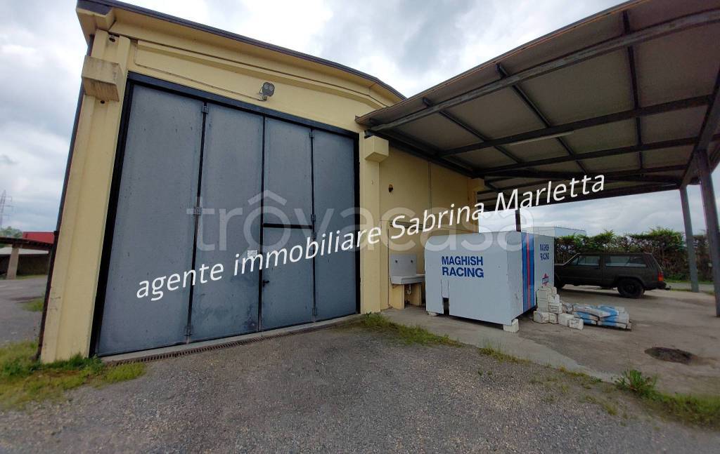 immagine annuncio 2 di 15
