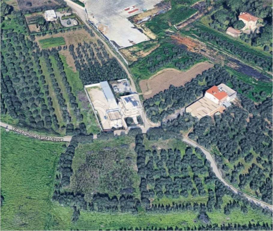 immagine annuncio 5 di 12