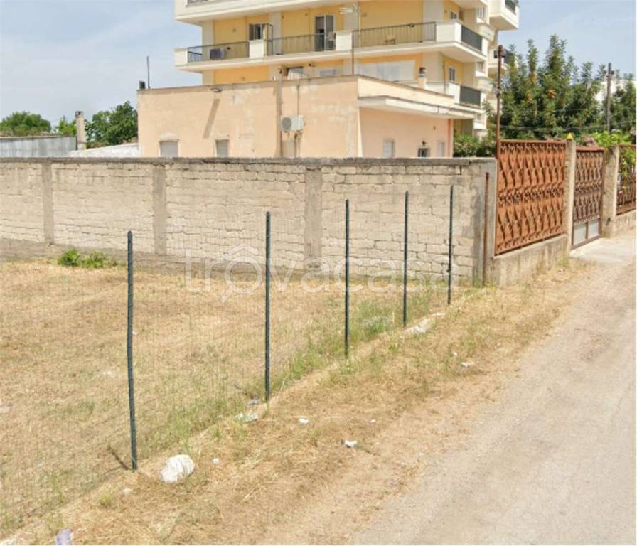 immagine annuncio 8 di 12