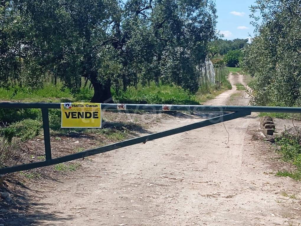 immagine annuncio 8 di 12