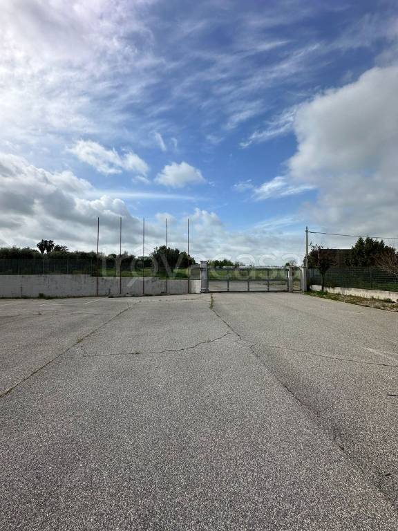 immagine annuncio 8 di 12