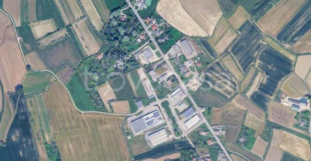 immagine annuncio 3 di 9