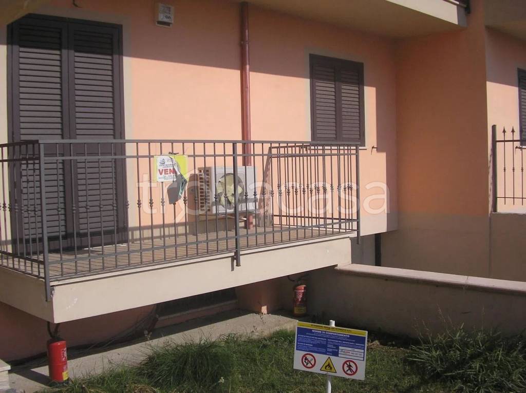 immagine annuncio 9 di 14