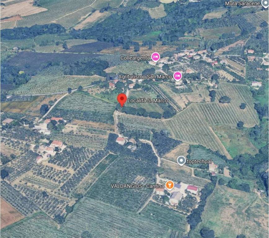 immagine annuncio 10 di 11