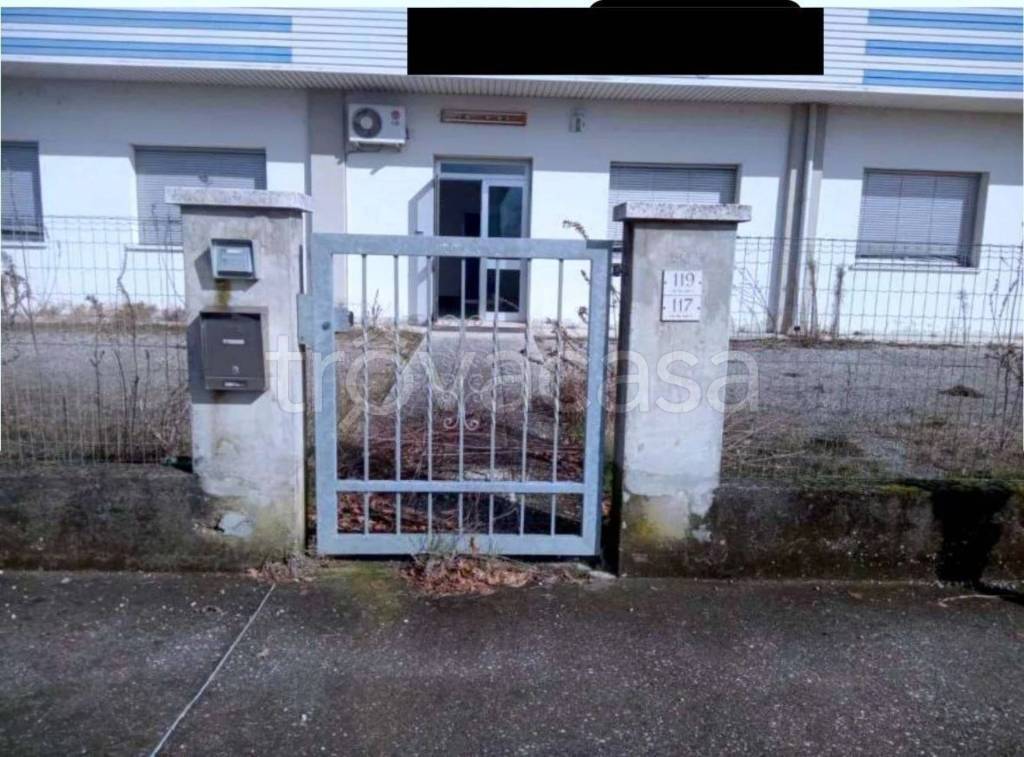 immagine annuncio 5 di 11
