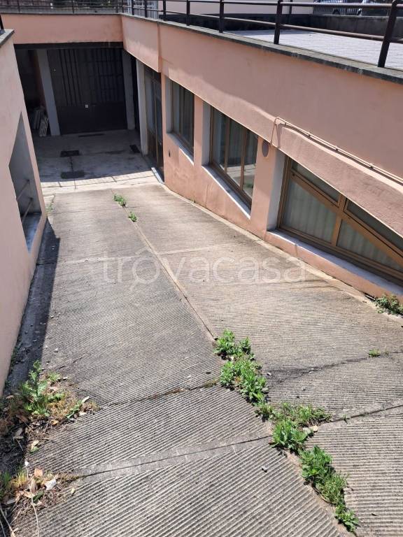immagine annuncio 8 di 9
