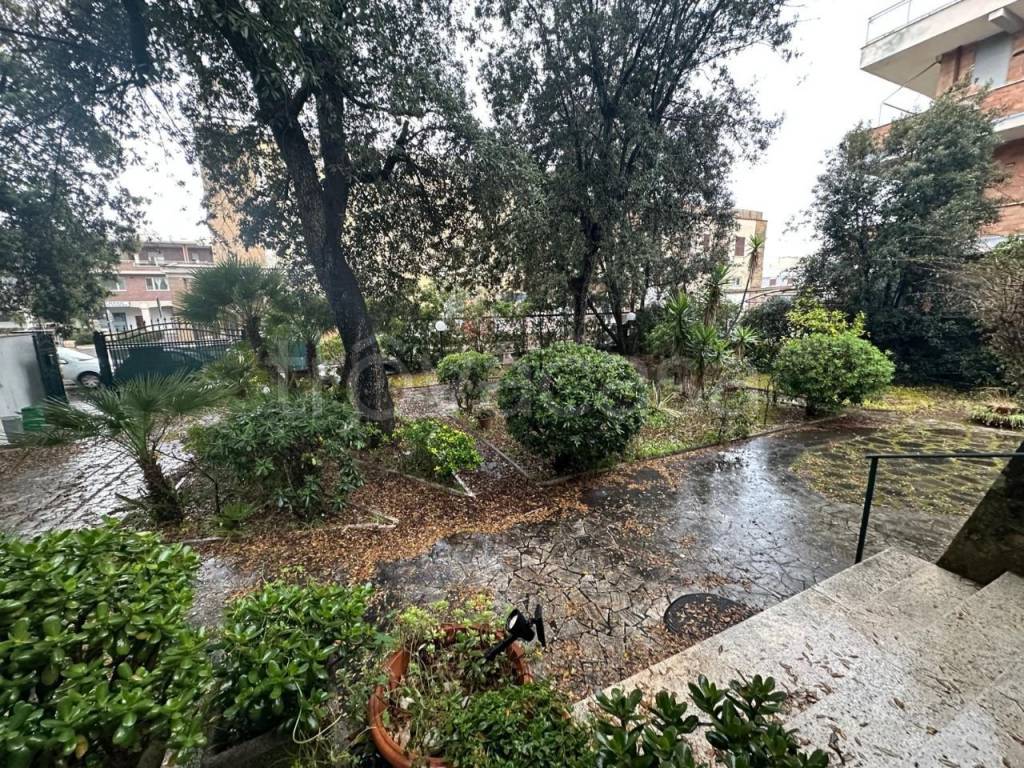 immagine annuncio 4 di 12