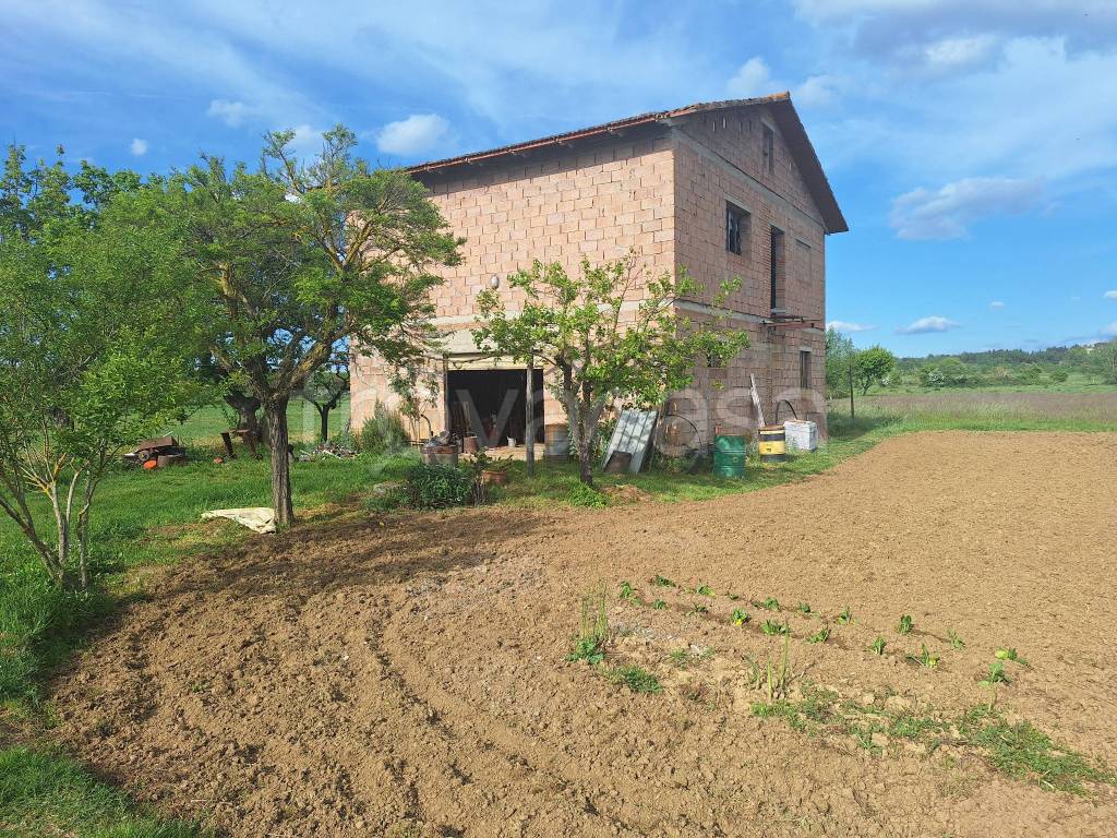 immagine annuncio 3 di 6