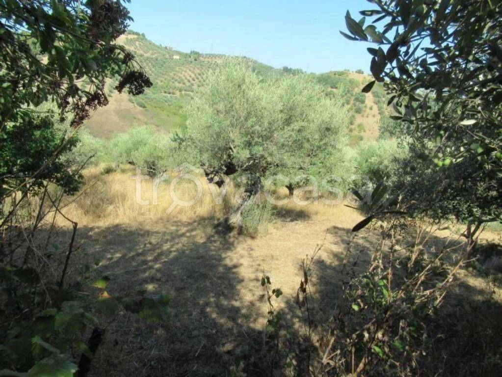 immagine annuncio 2 di 8