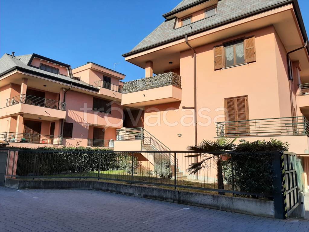 immagine annuncio 4 di 15