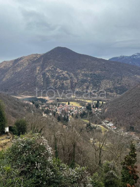 immagine annuncio 3 di 4