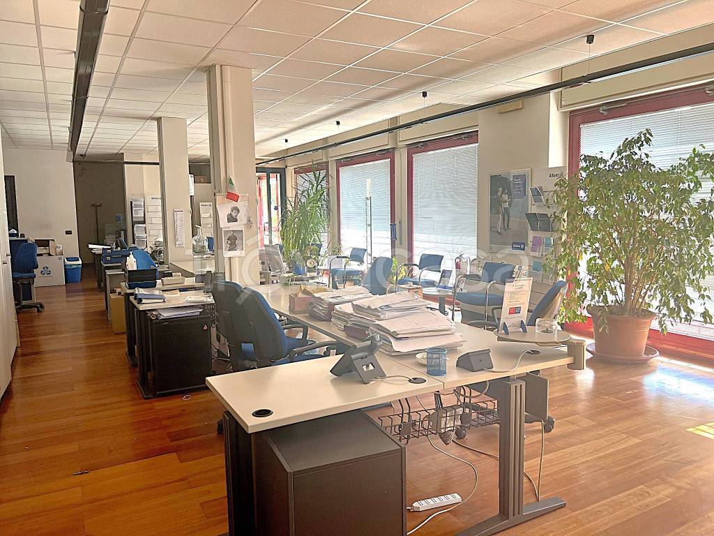 immagine annuncio 5 di 12