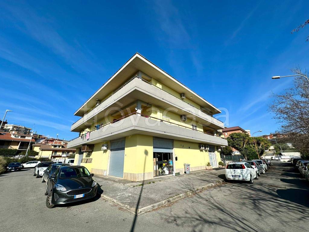 immagine annuncio 11 di 13