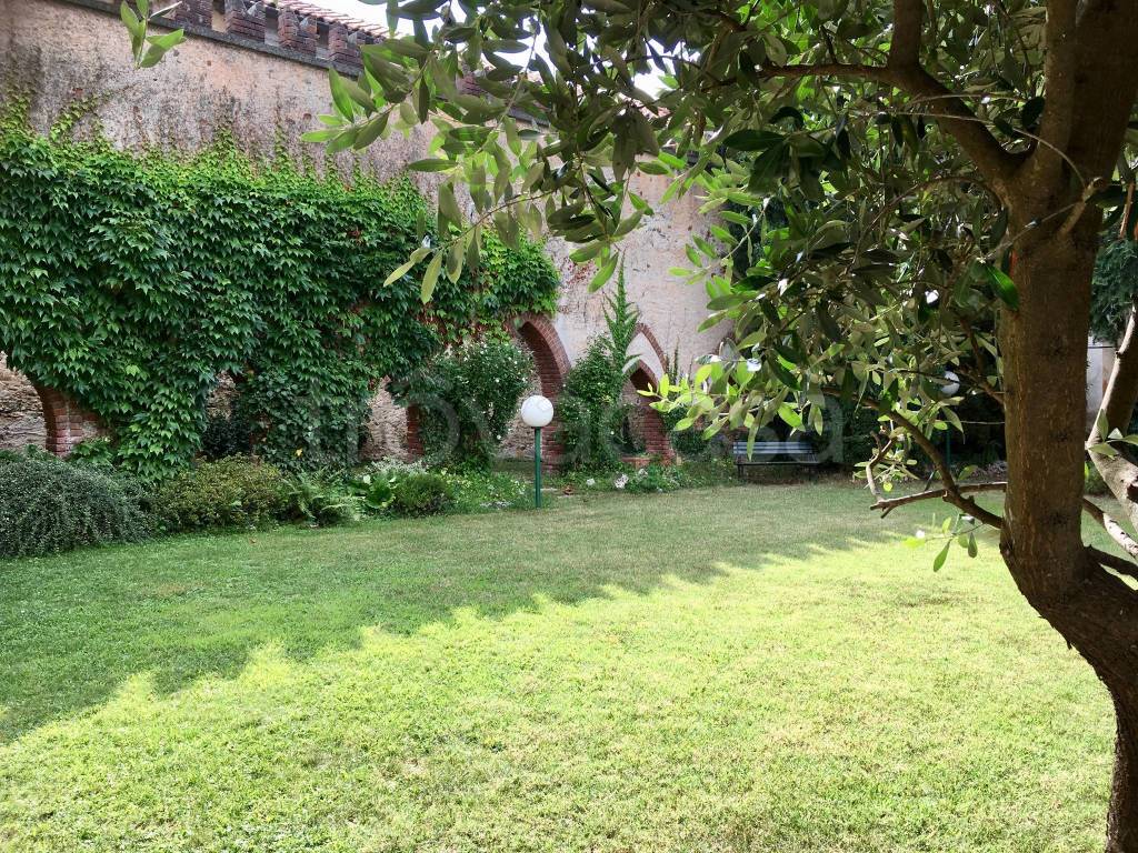 immagine annuncio 9 di 15